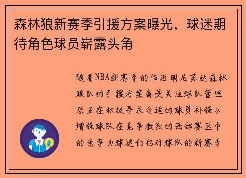 森林狼新赛季引援方案曝光，球迷期待角色球员崭露头角